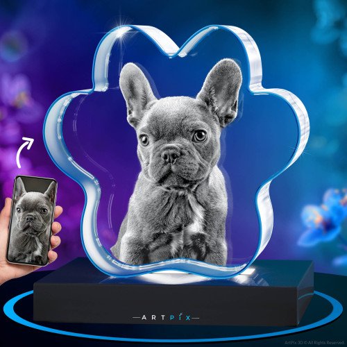 3D Pet Paw Crystal