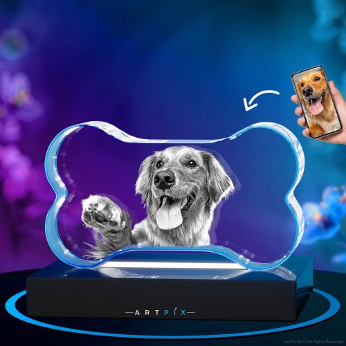 Pets 3D Bone Crystal