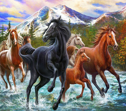 HORSES-Mohave Custom Creations